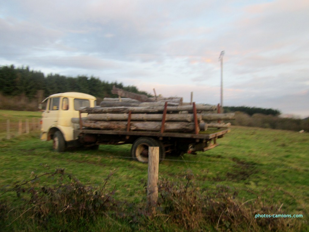 Berliet GAK 436955IMG2651Copier