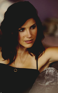 • Katherine Pierce || New Yorkaise 4384802