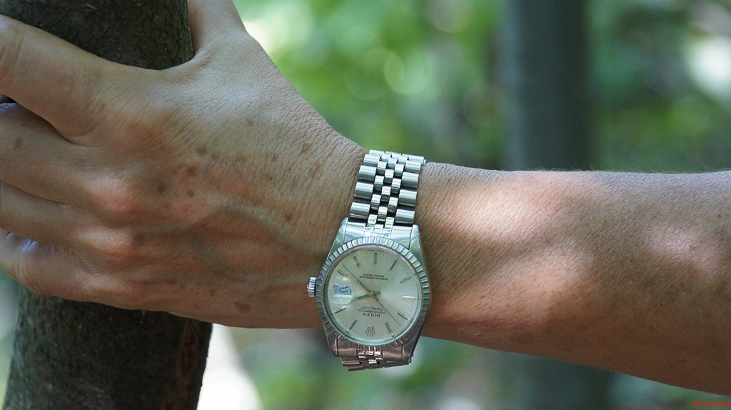 Quel est la montre qui selon vous a le design le plus "durable"  442795DSC3263