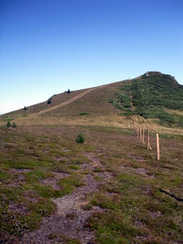 Une petite virée en Ariège 443389SDC15234