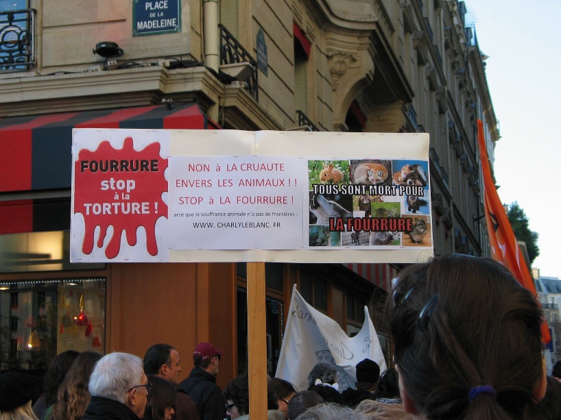 07 - Marche contre la fourrure - Paris 19 novembre 2011. 445653IMG6494