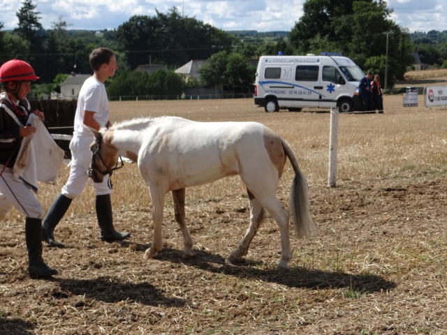 courses de poneys en bretagne 446874DSC00453