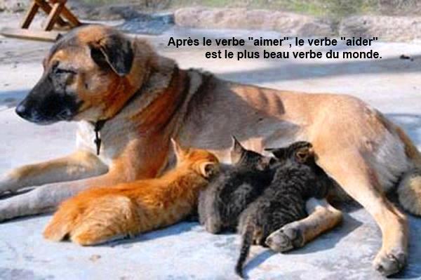 TENDRESSE !!! 44746991d