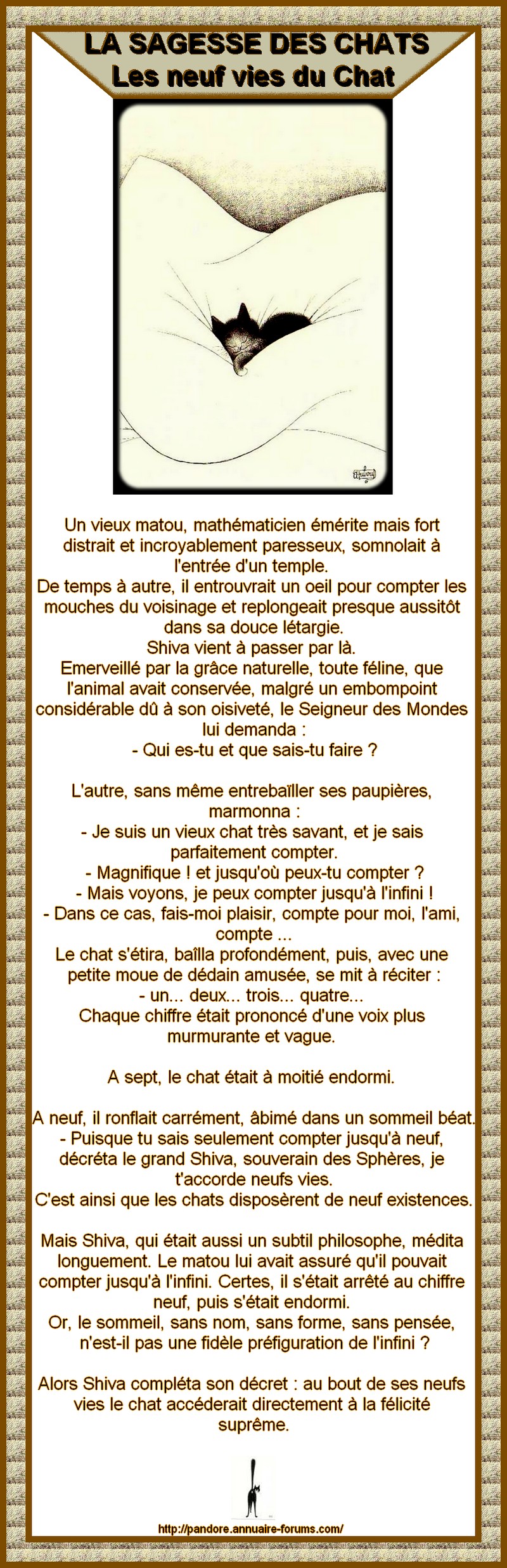 LA SAGESSE DES CHATS - LES NEUF VIES DU CHAT 4489176144