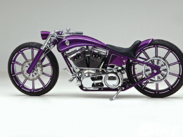 mini bobber  - Page 4 4493051205hbkp022010corynessdiggersideview