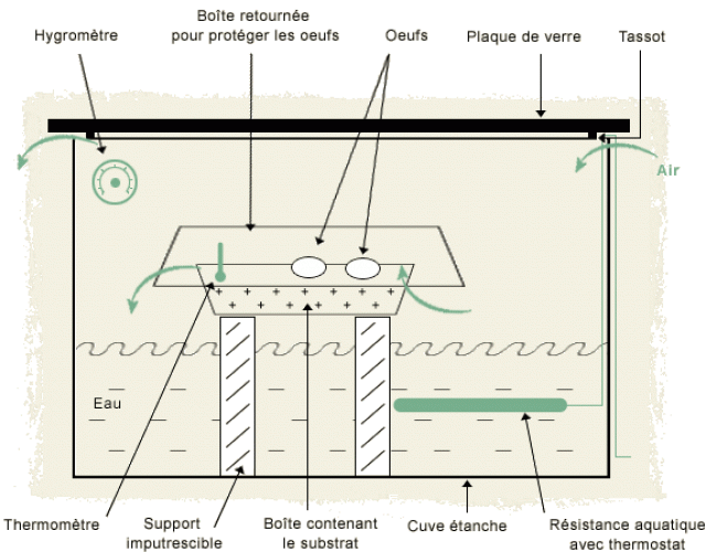 Incubateur grillons 452814incubateur