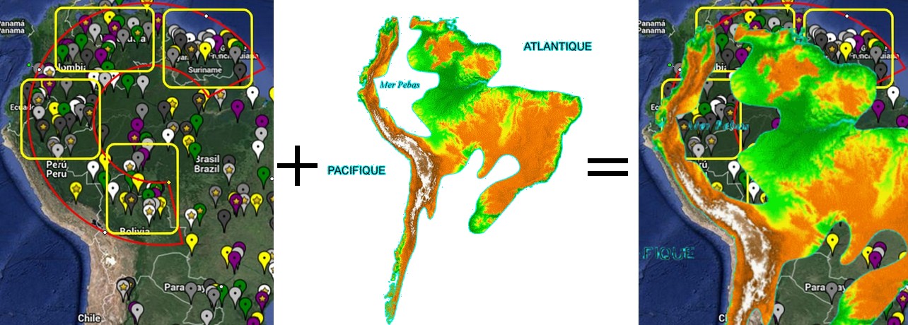 paradis - [Maintenance] Conseils pour corydoras 452955Iquitos33