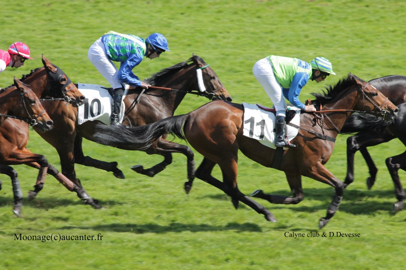 Photos Auteuil 27-04-2016 - Page 2 454332IMG1117