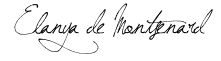 Bilans du Conseil Ducal - Page 4 455995signature