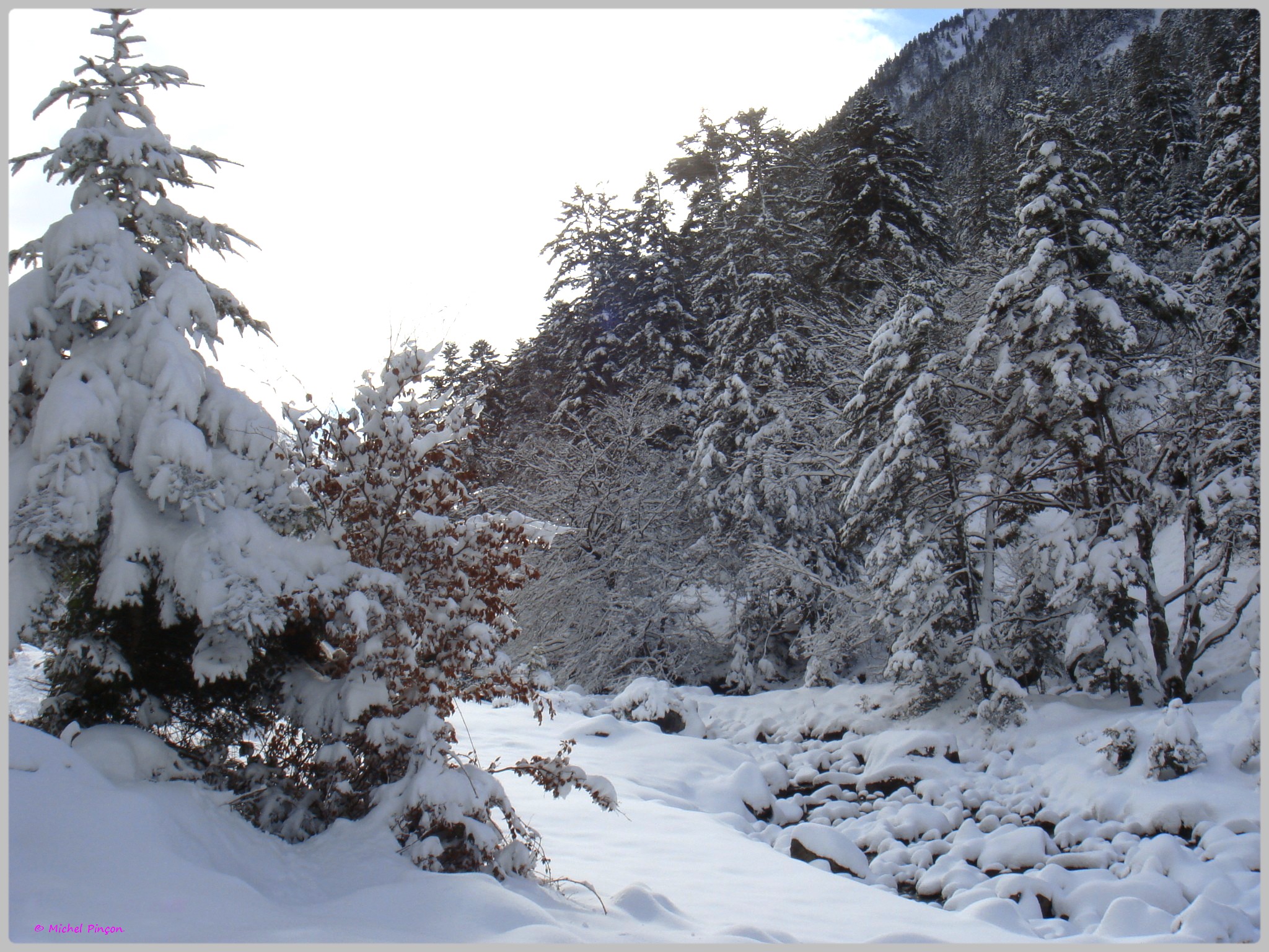 Une semaine à la Neige dans les Htes Pyrénées - Page 2 458494DSC00304