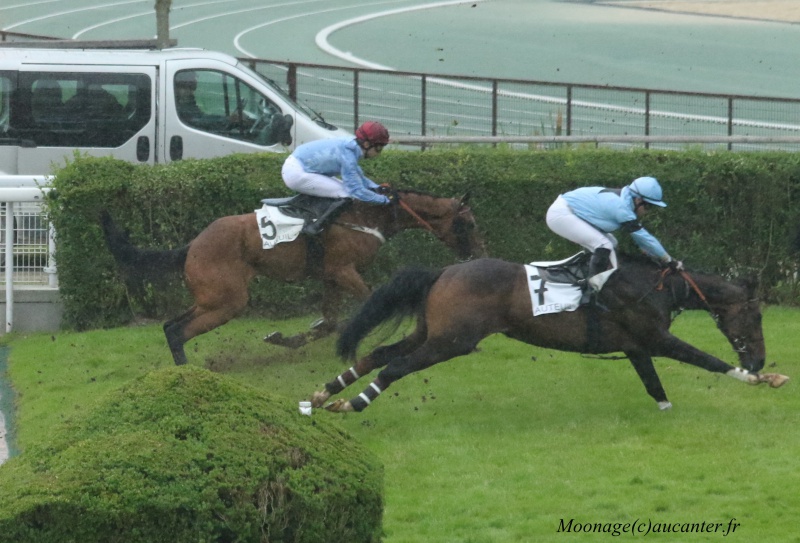 Photos Auteuil 12-06-2016 - Page 2 4587075J6A3765