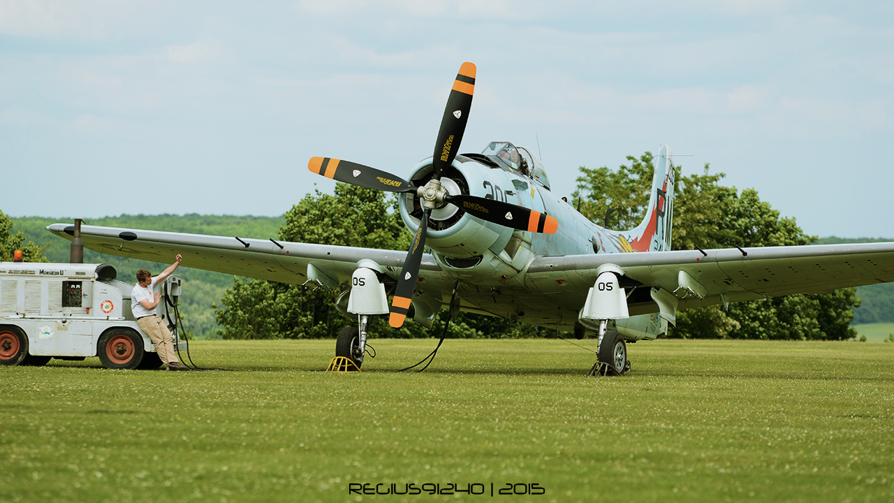 Aérodrome de La Ferté Alais - Page 7 460446DSC5451