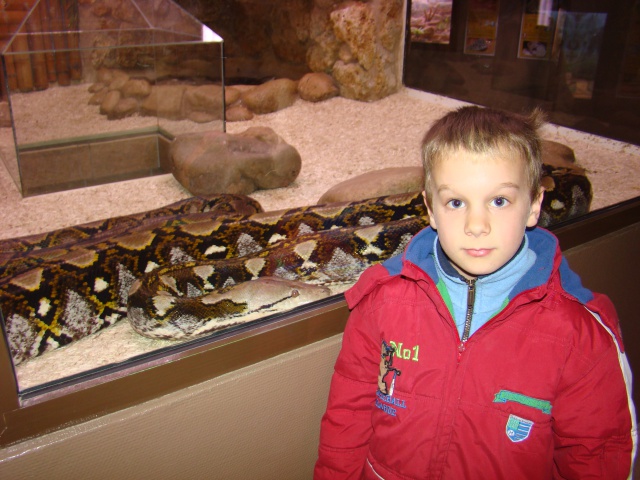 reptilarium du mont st michel ( alligator bay) 460765DSC01180