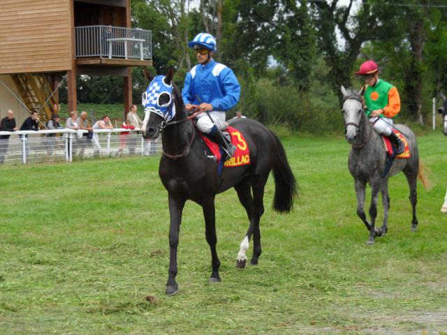 Tiercé à l'hippodrome d'Aurillac 461425SAM0161