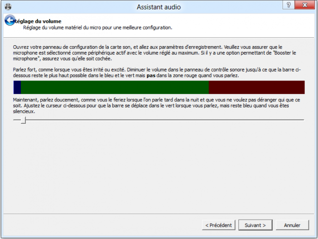 CONFIGURATION DU MICRO POUR LE MUMBLE 461635002