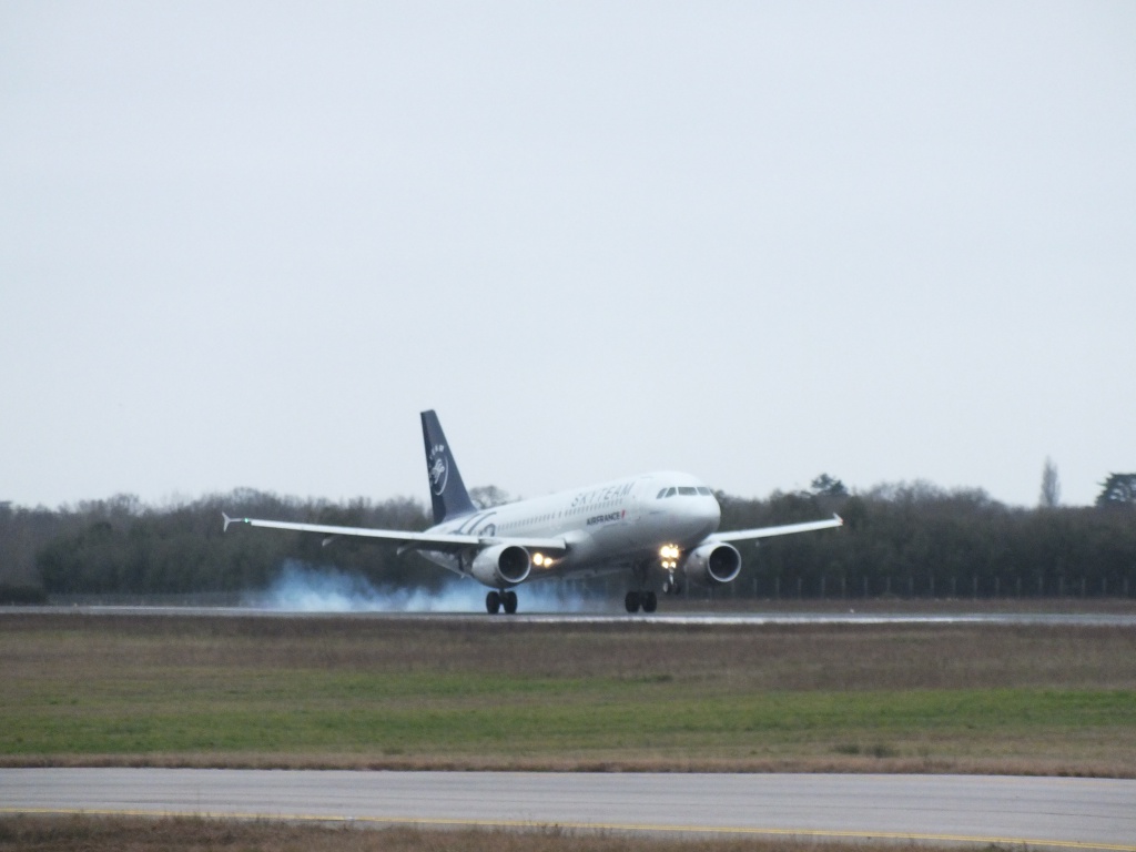 [F-GFKS & F-GFKY] A320 Air France Skyteam c/s - Page 2 463703Janviern2031