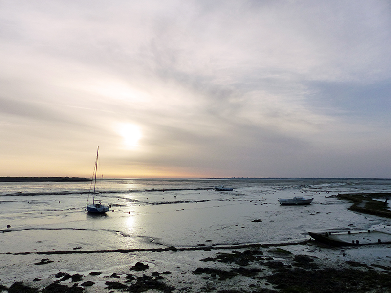 Paysages de l'Ile de Ré 468519Paysage1