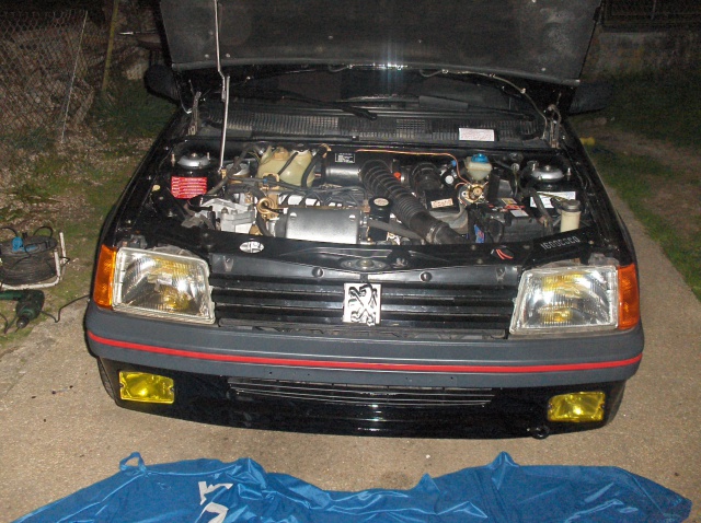 205 GTI 1600 COCO 470343HPIM4498