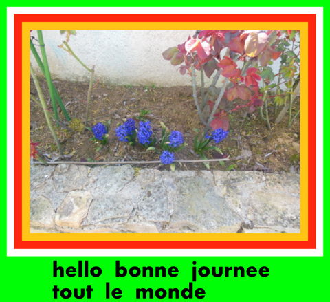 Bon Vendredi 472224DSCN0542