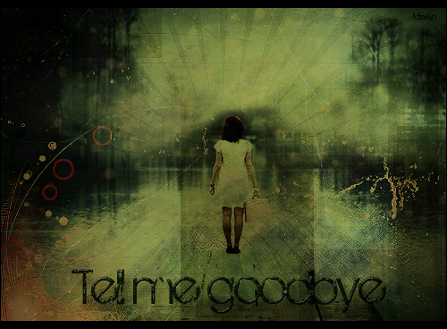 Mewyn_ Graphiste 473048Tellmegoodbye