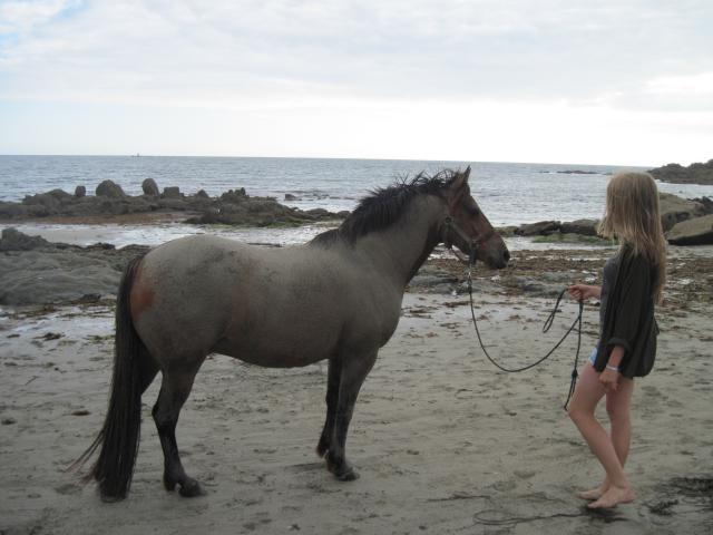 Domaine de Kerdianou...Vacances en Bretagne !!! 473777IMG8371