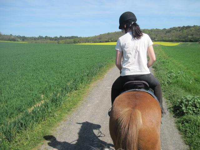 Balade de 2h - Milly la Forêt - Chapeau de Napoléon 477504IMG5951