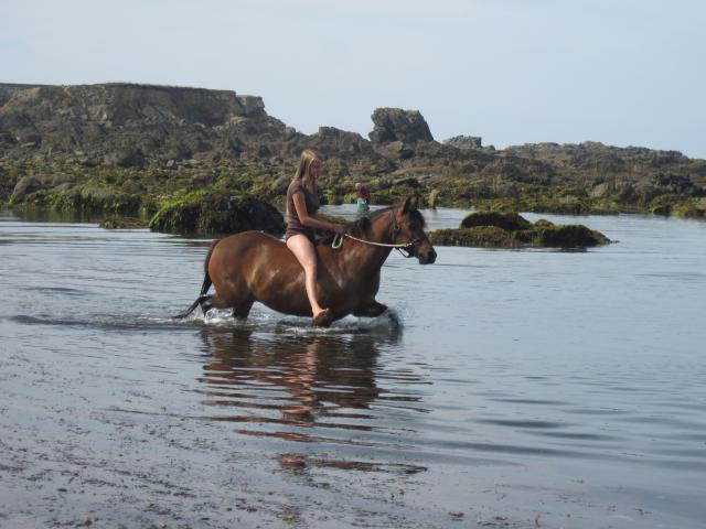 Domaine de Kerdianou...Vacances en Bretagne !!! 477690IMG8616