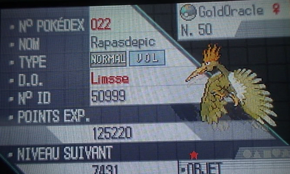 Galerie Shiny de Limsse =3 481620Rapasdepic