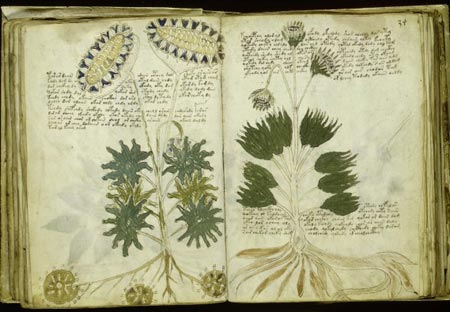 Manuscrit Voynich, oeuvre la plus étrange au monde (photos + texte + vidéo) 482886voynich01gj