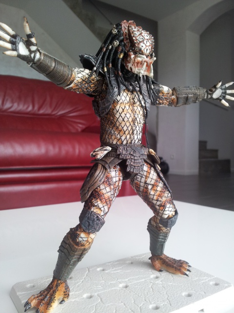 Les Predator NECA 18cm - Page 2 48398420130105111418