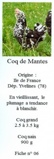 Les doubles de Savoyman - Page 18 48411406Mantes