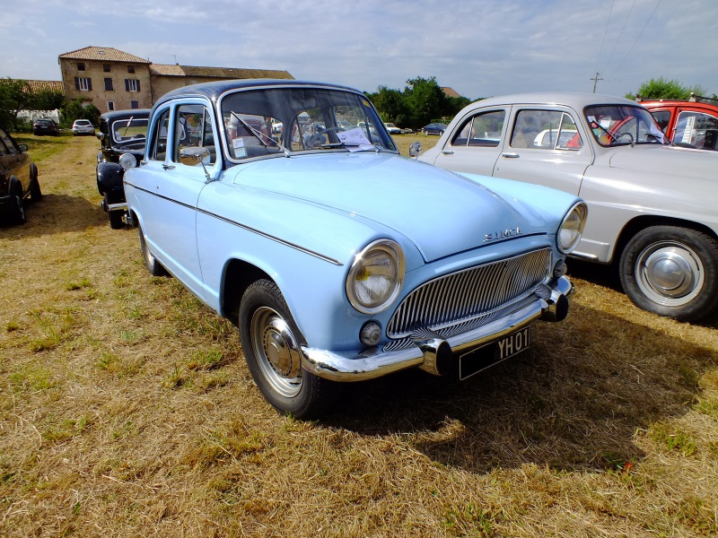 petite expo a Vésines dans le 01 France 485333DSCF5065