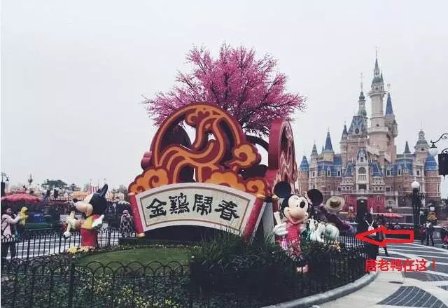 Shanghai Disneyland (2016) - Le Parc en général - Page 35 488467w211