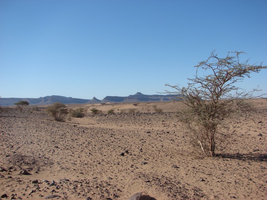 Le Grand Sud du Maroc - II 491621125