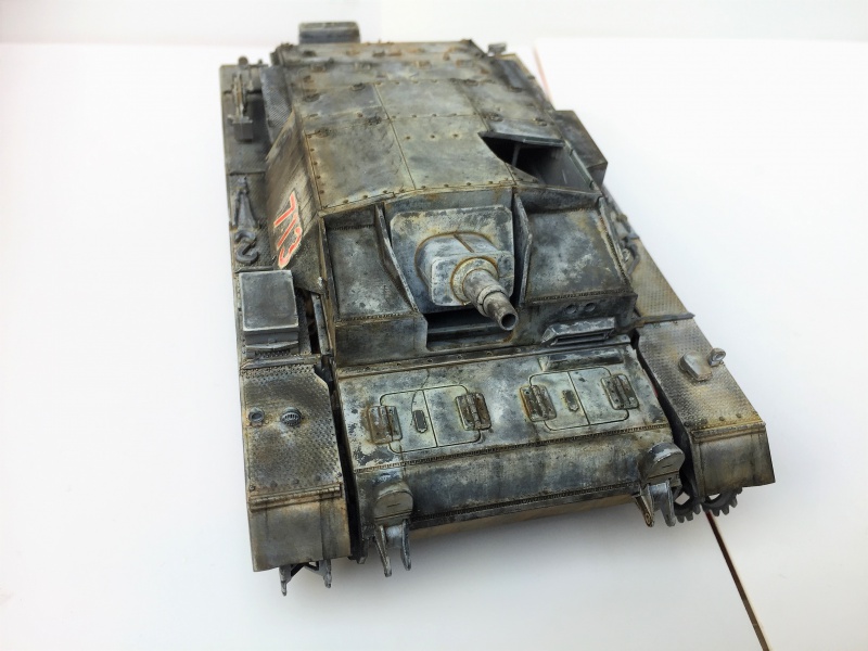 STUG III Ausf. C - DRAGON - 1/35 - Page 2 495356IMG1938