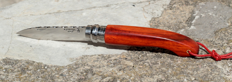 Opinel "customs" 2015 made in Frank - Page 2 495864jardinpadouk6