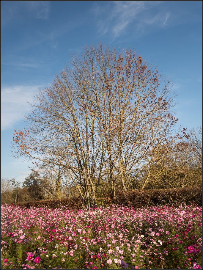 Photos  non Lumix du 14/11/2015 500551LR6PB120017