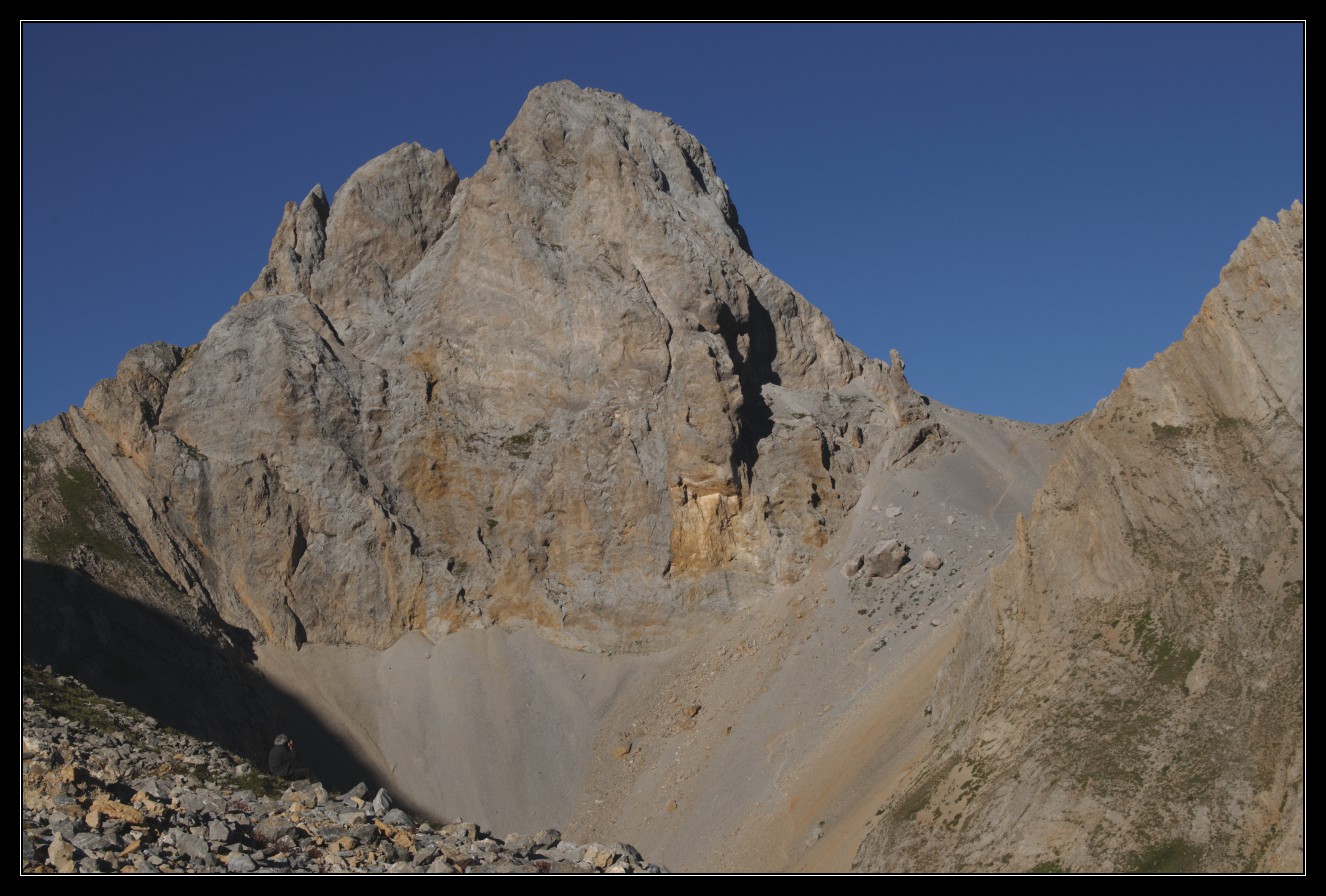 Une vie pyrénéenne de labrit des pyrénées - Page 7 501665blq0446