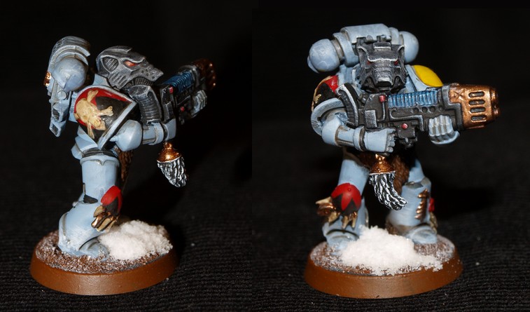 Space Wolves - Typhon... un peu particulier  503830Chasseurgris13