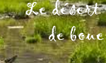 Le Désert de Boue