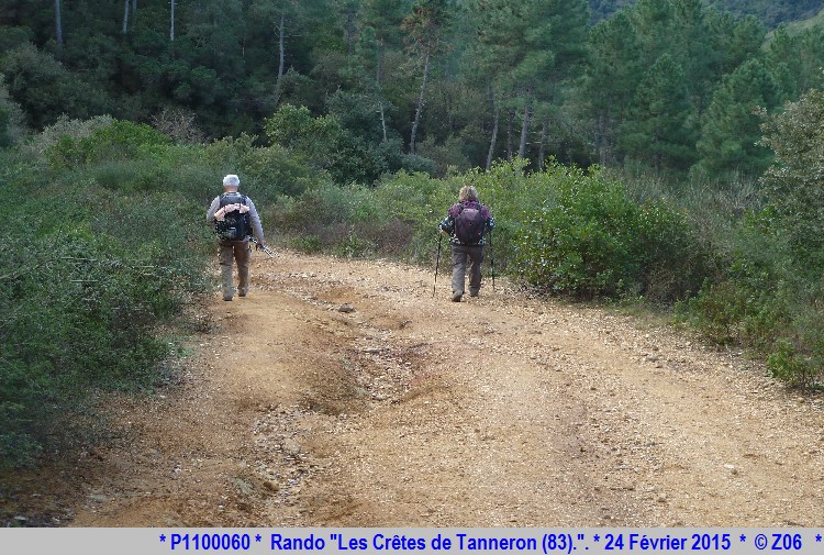 24 Février 2015 - Rando "les crêtes de Tanneron (83)"  509260P1100060