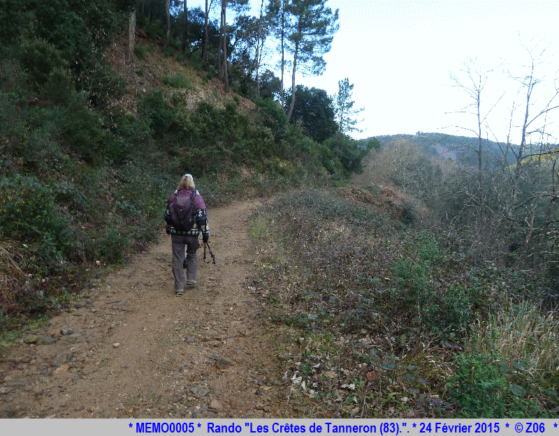 24 Février 2015 - Rando "les crêtes de Tanneron (83)"  510846MEMO0005