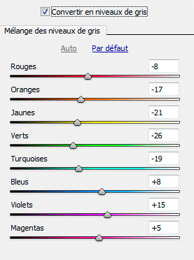 Comment passer une photo en noir et blanc avec une sélection couleur ? 511423neb