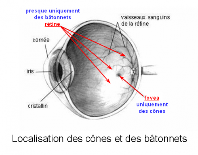 2013: le 02/10 à 21h30 - Lumière étrange dans le ciel  - ATTERT BELGIQUE -  515439nystagmus1