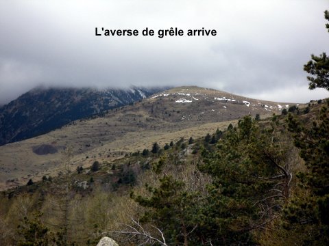 Sur les traces des mines de fer du Canigou 518957SDC14486