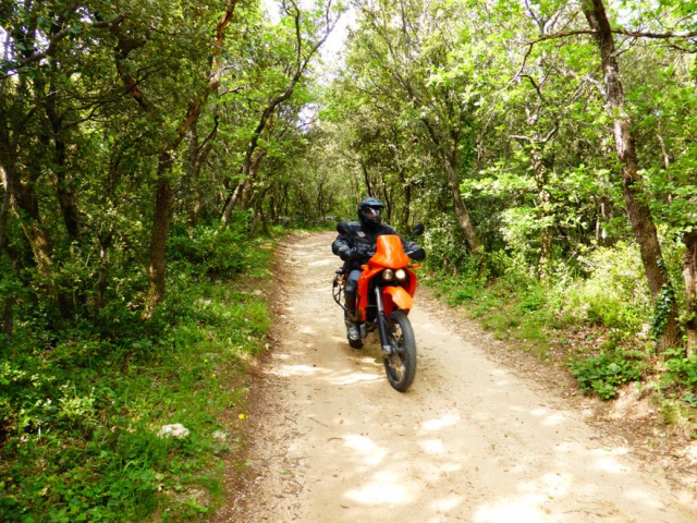 Road - KTM Adventure day’s 2015 :  concentre et raid off road d’enfer ! 523526selectioncr49