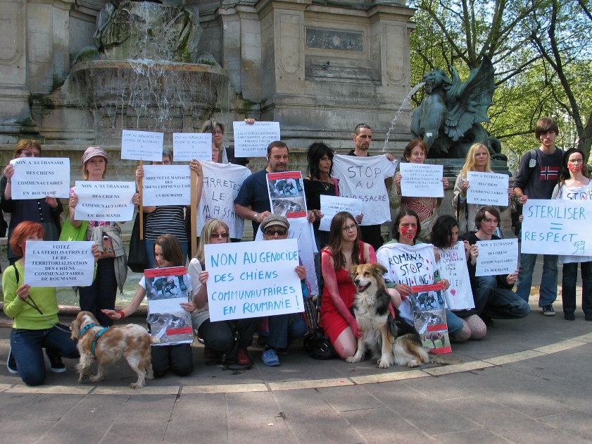 01 - Flashmob de Paris contre l'euthanasie des chiens de Roumanie - 10 avril 2011 526491IMG5002