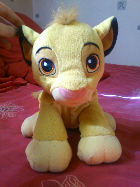 edition - [Recherche - Vente] Le Coin des Peluches Disney ! (TOPIC UNIQUE) 526677DSC0043