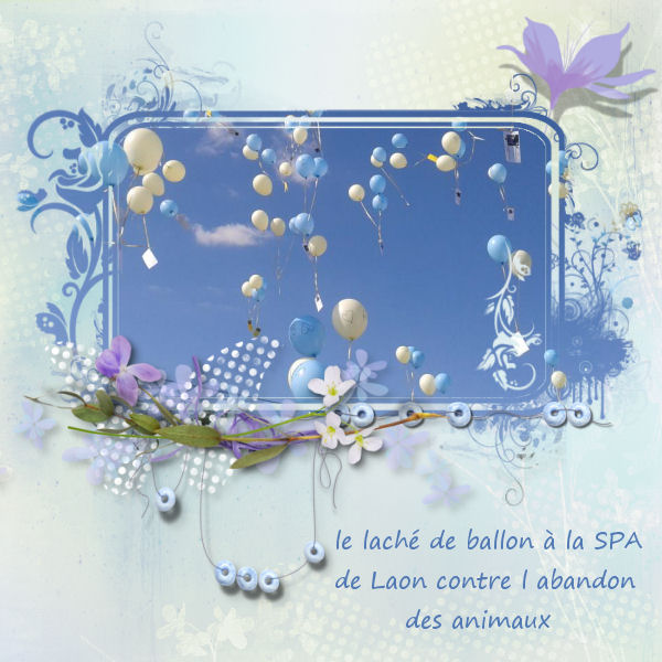 pages avril- mai- juin 2015 530077lachdeballonspa