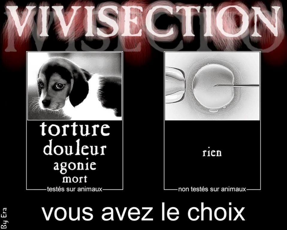 STOP VIVISECTION : il manque encore des signatures ! 53082989W